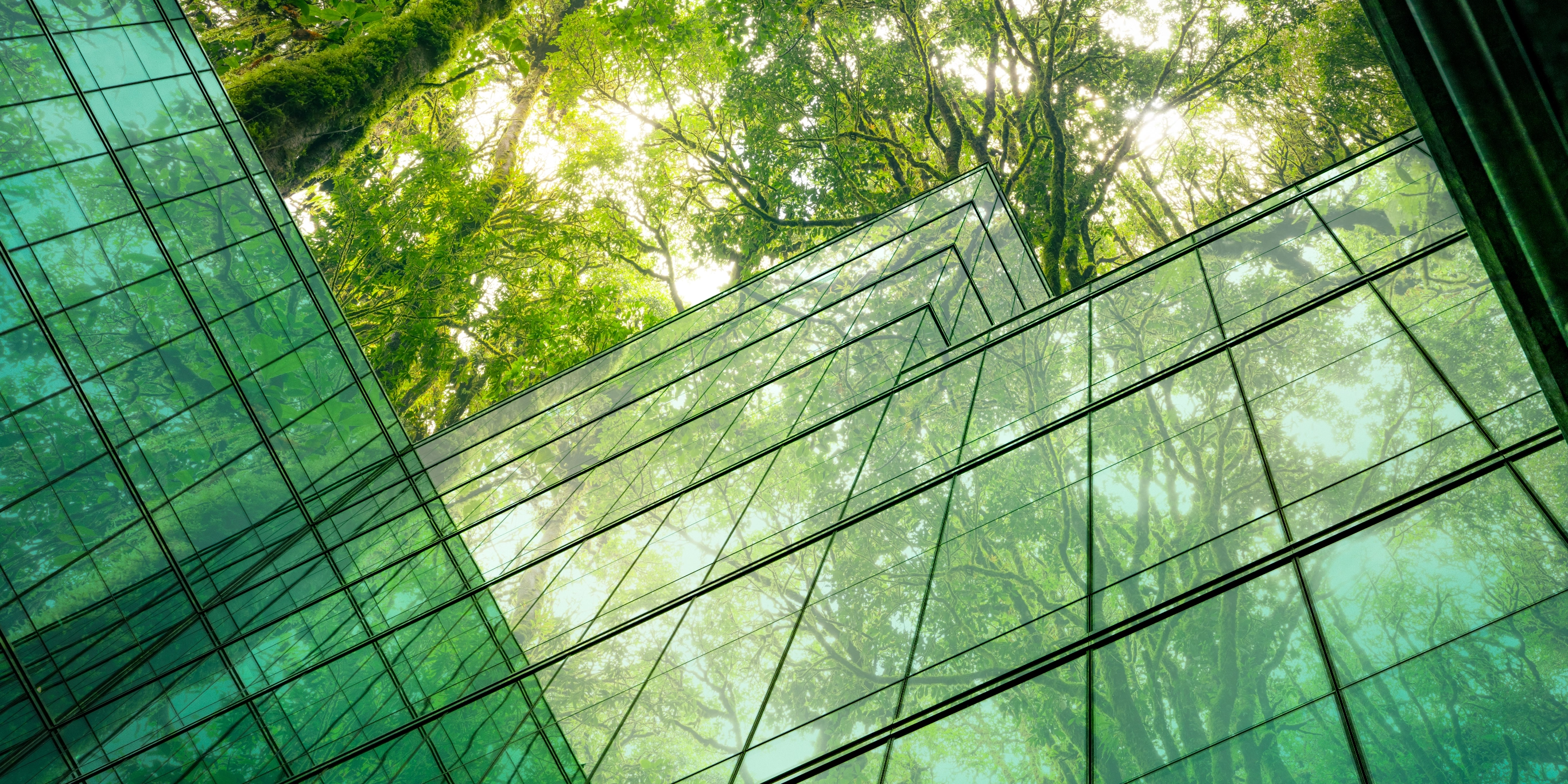 Tulum: El Arte de Habitar con Propósito